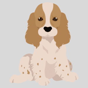 Jarvis the recruitment dog